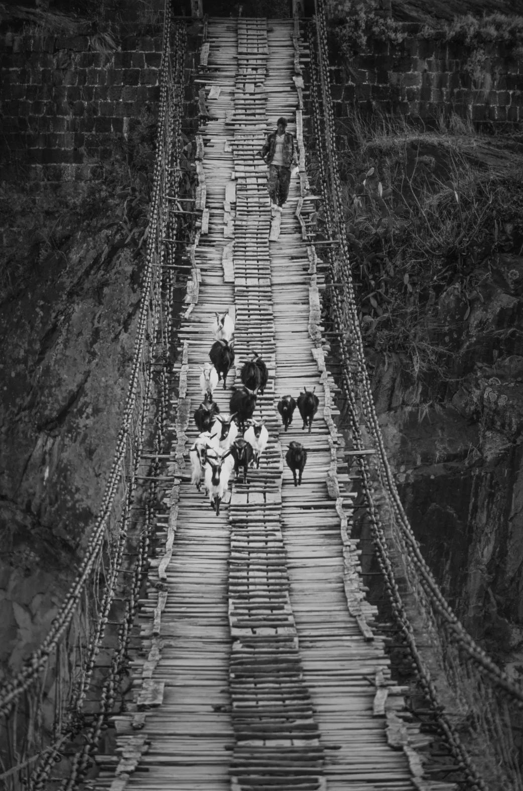 金沙江上的清代吊桥 （2007年5月 云南省丽江市），竹田武史作品.jpeg