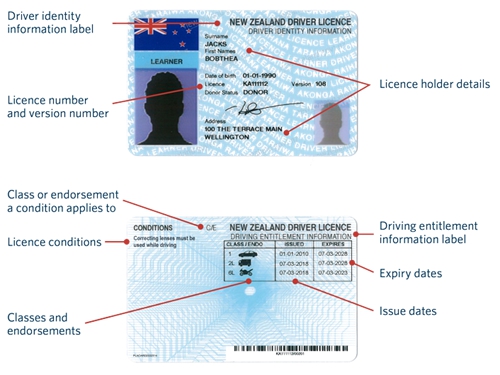 Photo-driver-licence-content-graphic..jpg