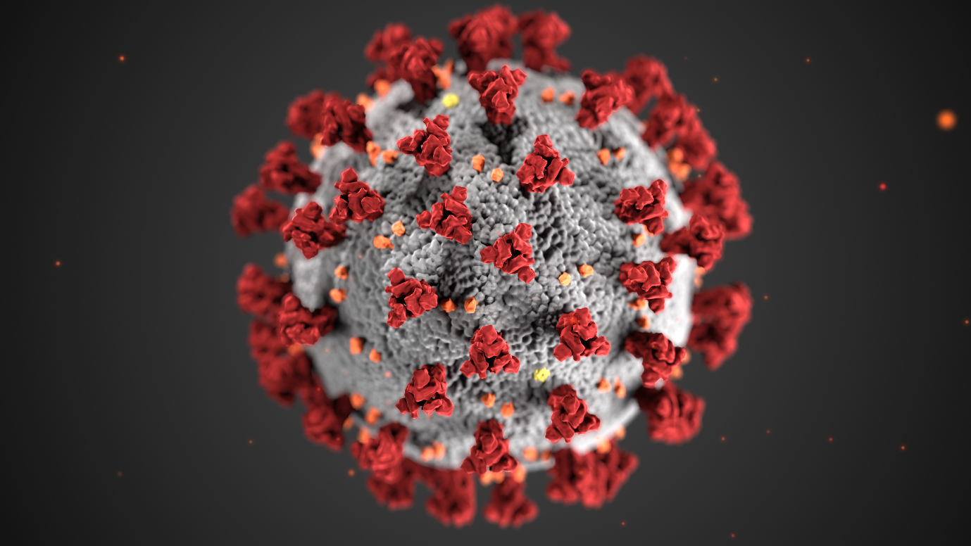 CDC SARS-cov2 image_0.png