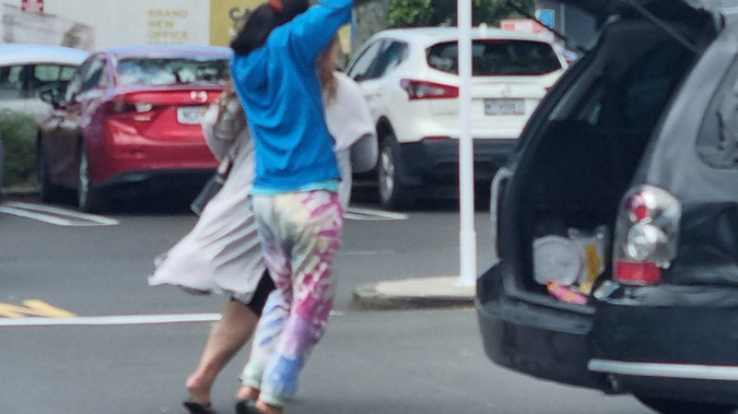 two-women-were-seen-unloading-a-trolley-full-of-groceries-into-their-car-before-fleeing-onto-aucklands-northern-motorway (1).jpg