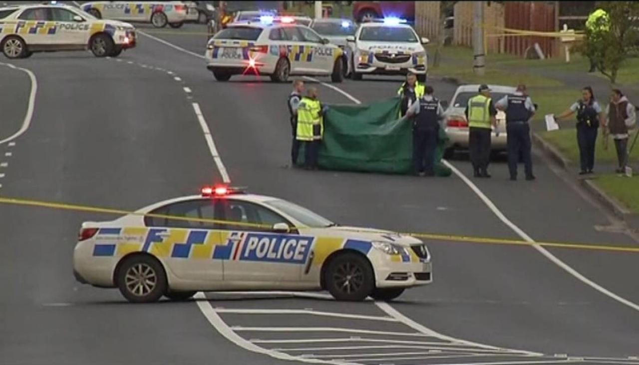 Crash_Police_Weymouth_Auckland_CREDIT_Newshub_251022_1120.jpg