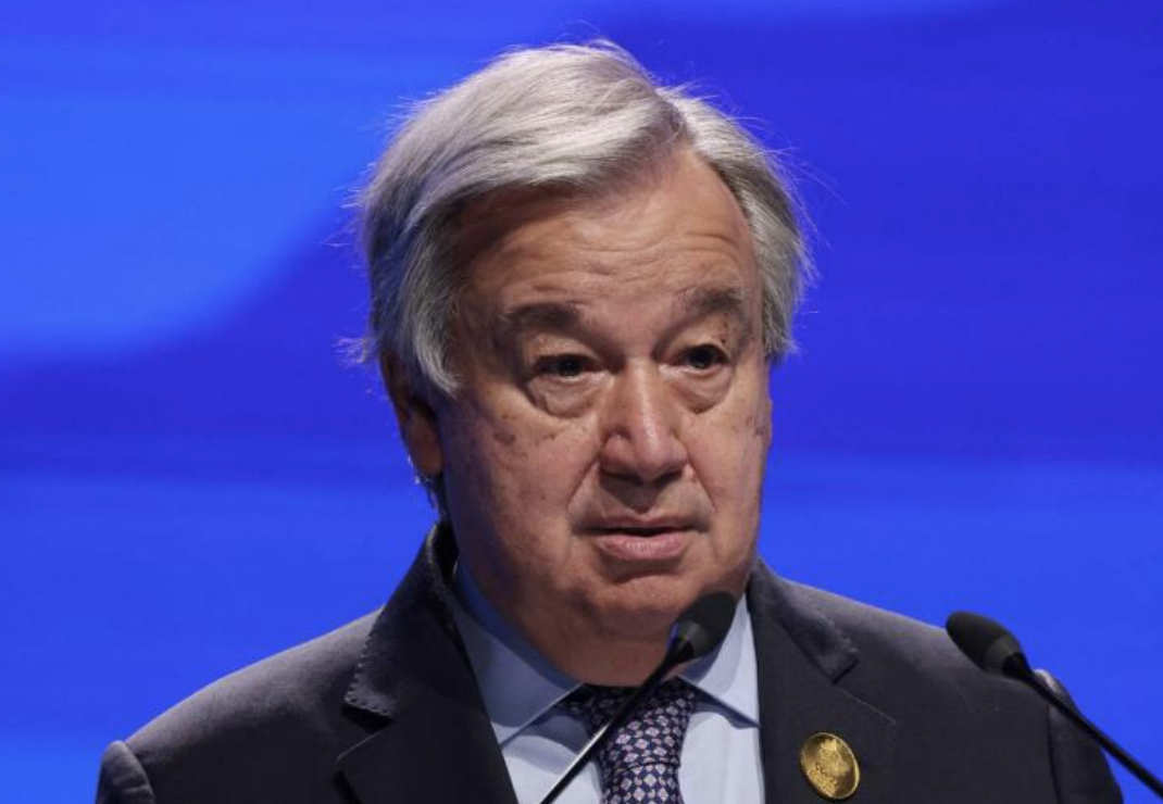 截屏2022-11-21 下午12.10.13.png