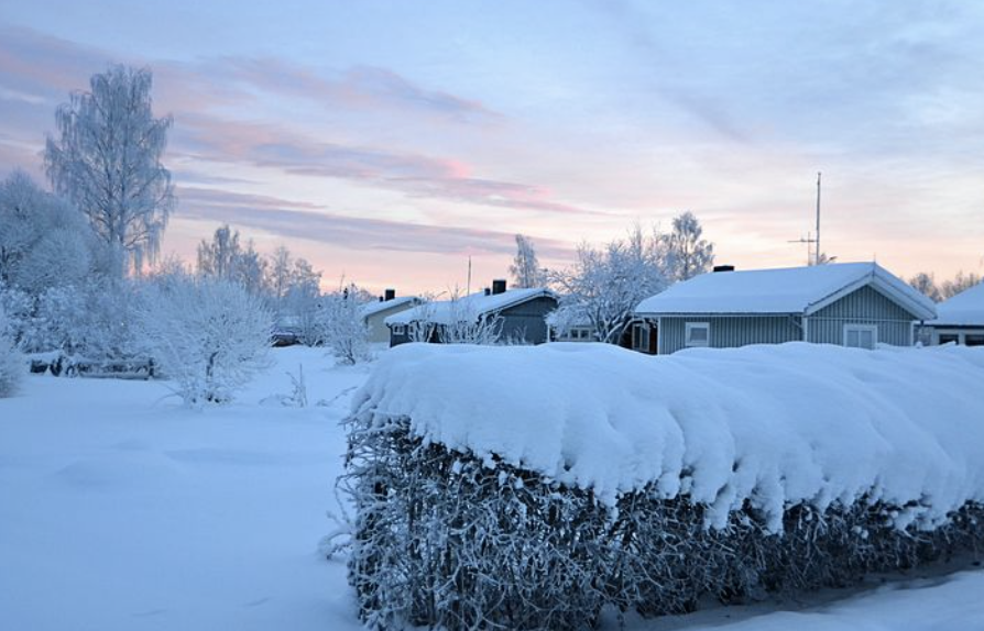 截屏2022-11-23 上午10.19.38.png