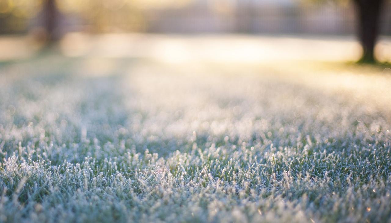 GettyImages-603861744-frost-grass-1120.jpg