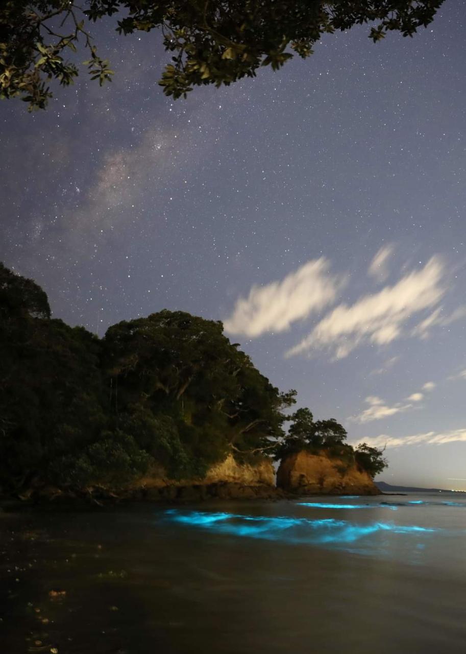 Bioluminescence_Waiake_Beach_Auckland_CREDIT_Supplied_RuggieroLovreglio_100623_.jpg