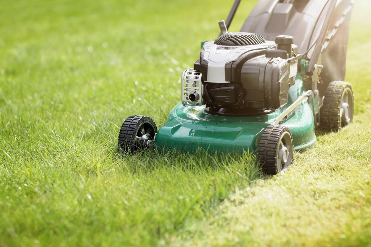 lawnmower_092618.jpg