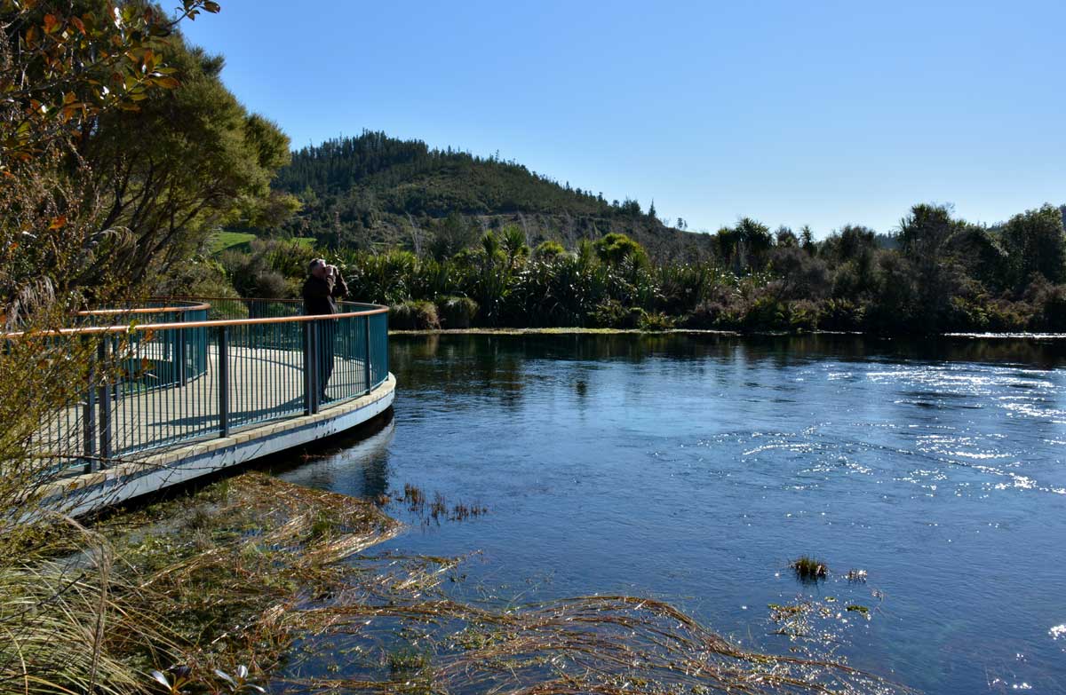 te-waikoropupu-springs-boardwalk-1200.jpg