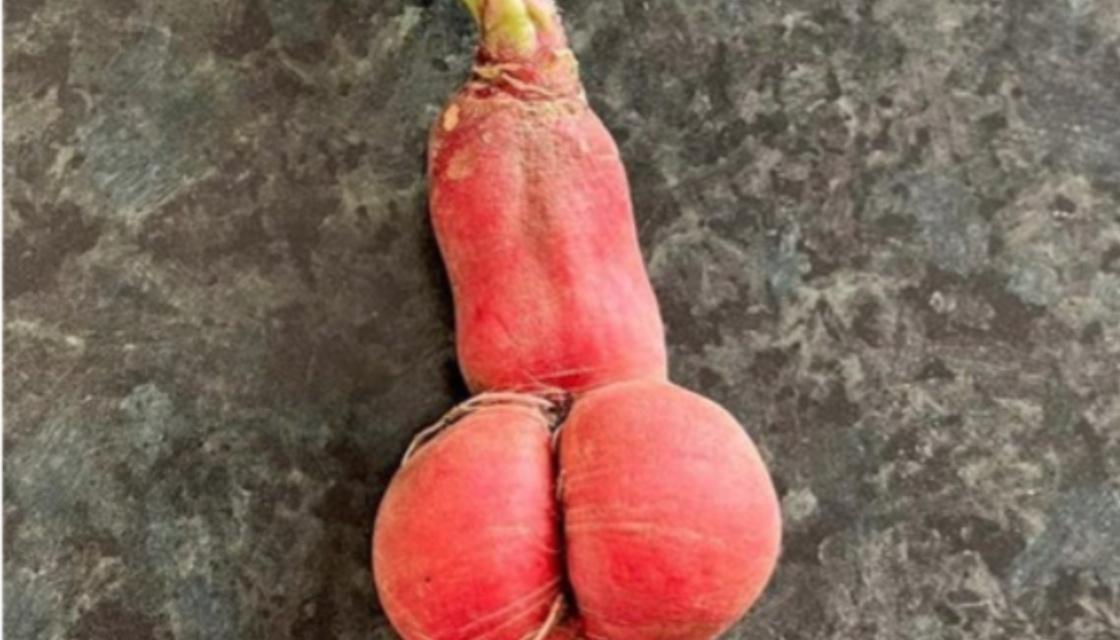 TRADEME-radish.jpg