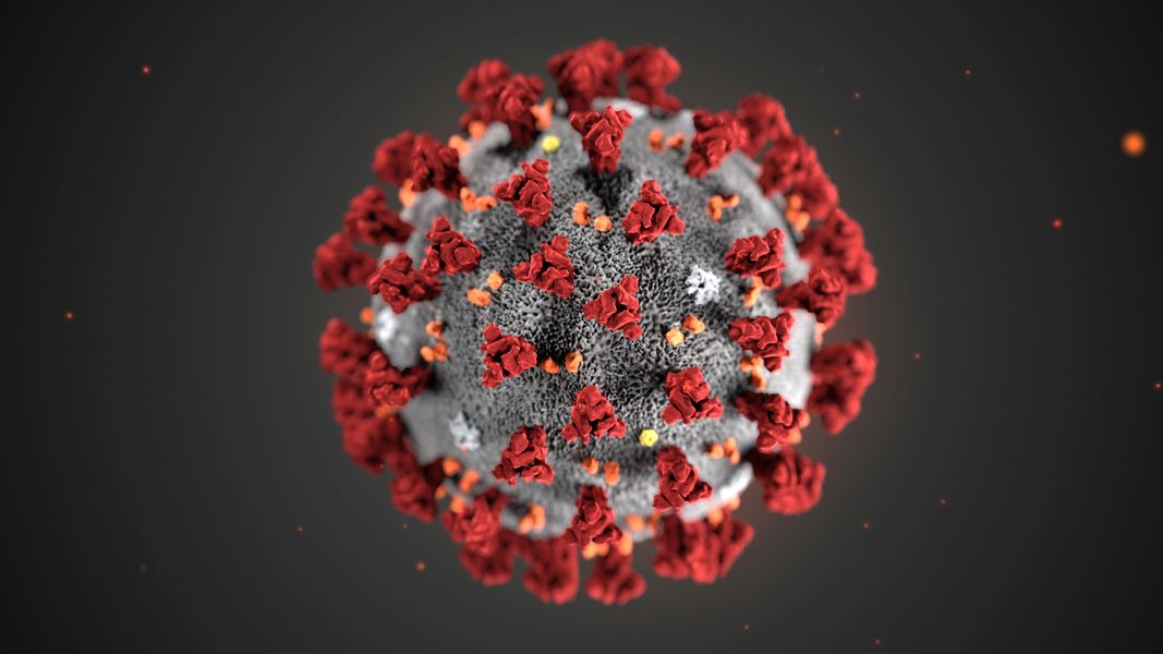 coronavirus_retuers1.jpg