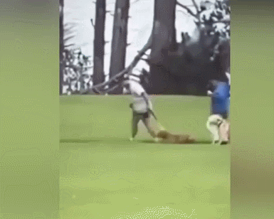 GIF 2025-5-7 18-55-54.gif