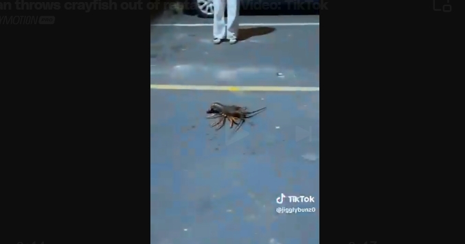 微信截图_20250805121124.png