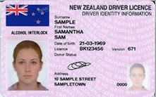 Alcohol-interlock-licence-sample.jpg