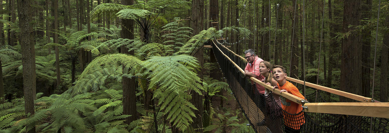 9780_Redwoods_Treewalk_Rotorua-1__aWxvdmVrZWxseQo_FocalPointCropWzQ0MCwxMjgwLDUwLDUwLDc1LCJqcGciLDY1LDIuNV0.jpg