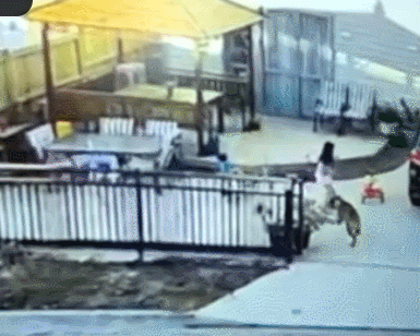 GIF 2025-9-9 14-20-36.gif