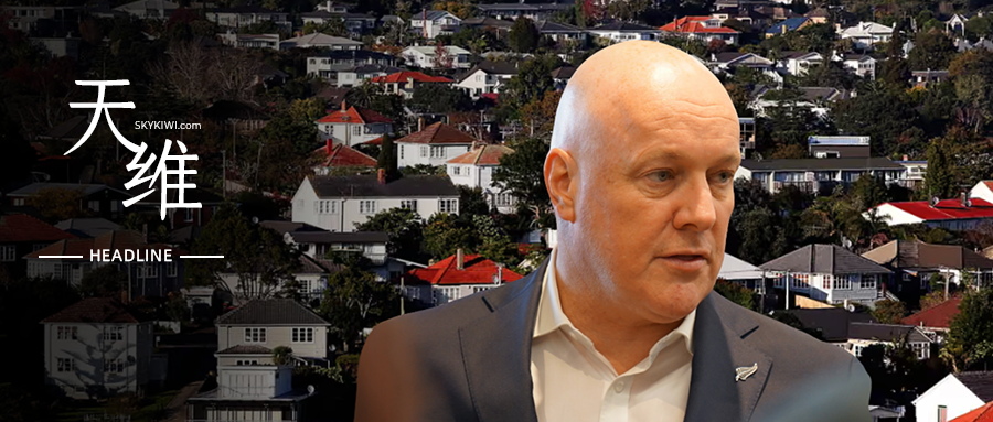 0 (01)头图制作文件-恢复的-恢复的-恢复的2.png