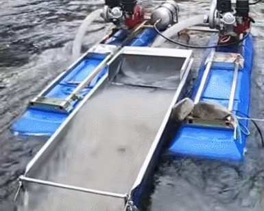 GIF 2025-10-15 8-07-04.gif