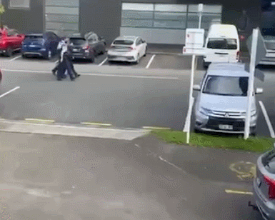 GIF 2025-10-16 8-54-33.gif