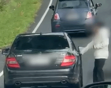 GIF 2025-10-17 13-47-25.gif