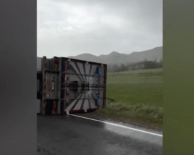 GIF 2025-10-23 8-02-34.gif