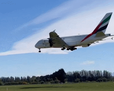 GIF 2025-10-23 10-59-02.gif