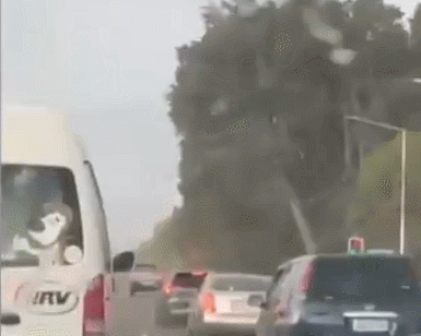 GIF 2025-10-23 13-26-38.gif