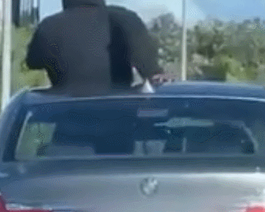 GIF 2025-10-27 10-59-30.gif