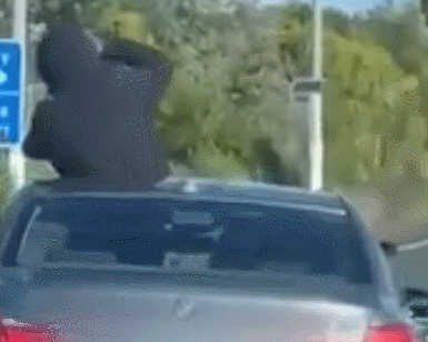 GIF 2025-10-27 10-59-47.gif