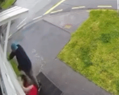 GIF 2025-10-28 9-01-16.gif