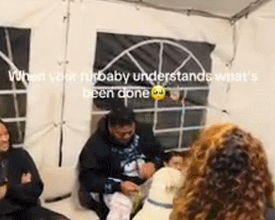 GIF 2025-11-7 14-56-15.gif