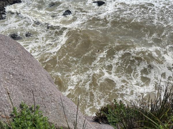 whiritoa_rescue_1 (1).jpg