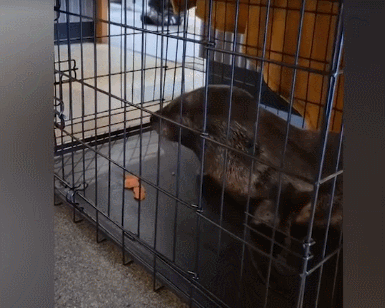 GIF 2025-12-2 8-08-57.gif