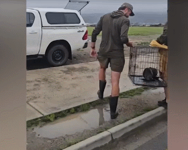 GIF 2025-12-2 8-09-09.gif