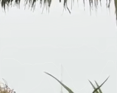 GIF 2025-12-3 9-16-09.gif