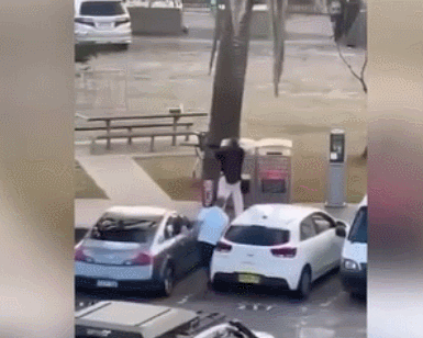 GIF 2025-12-14 18-27-49.gif