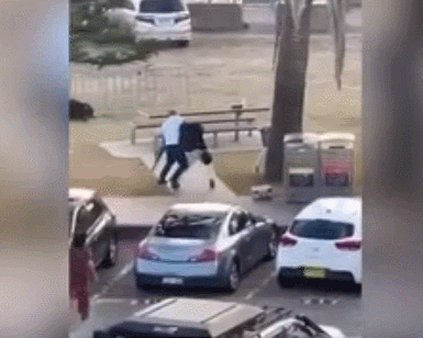 GIF 2025-12-14 19-55-55.gif