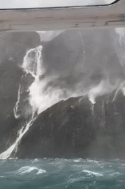 GIF 2025-12-21 12-55-28.gif