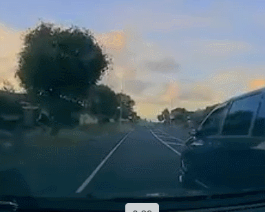 GIF 2025-12-22 11-40-44.gif