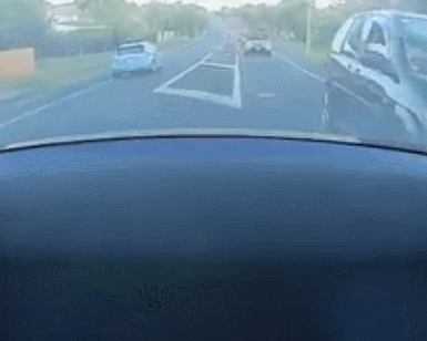 GIF 2025-12-22 11-41-14.gif