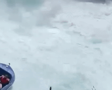 GIF 2025-12-23 8-48-48.gif