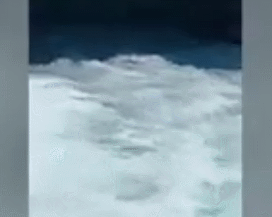 GIF 2025-12-23 8-49-18.gif