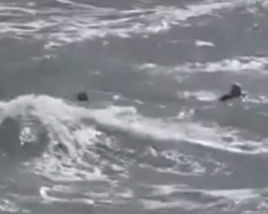 GIF 2025-12-30 18-14-47.gif