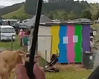 GIF 2026-1-5 14-31-17.gif