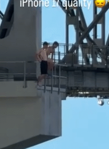 GIF 2026-1-8 13-55-31.gif