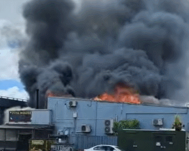 GIF 2026-1-9 8-42-10.gif