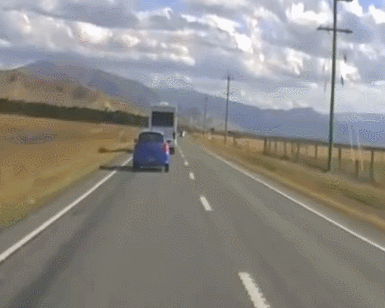 GIF 2026-1-12 13-31-10.gif