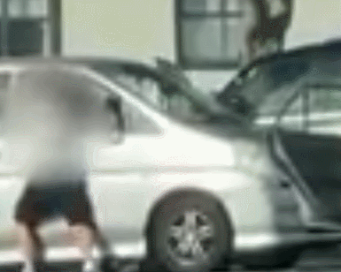 GIF 2026-1-13 18-15-49.gif