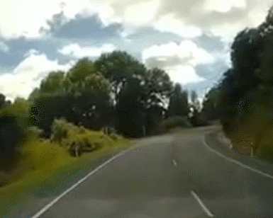 GIF 2026-1-18 9-01-51.gif