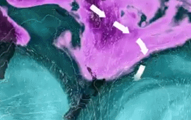 GIF 2026-2-11 15-37-14.gif