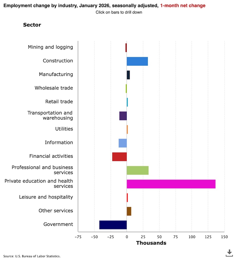 2026年1月非农新增分项 （图源：美国劳工统计局）