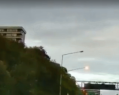 GIF 2026-3-1 13-49-19.gif